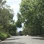 Bannockburn Rd - Pymble