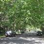 Bareena Ave - Pymble