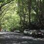 Water St - Pymble