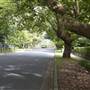 Wahroonga
