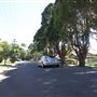 Willoughby neighbourhood