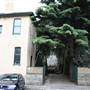 Anglesea Road Buildings