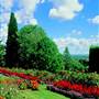Armidale