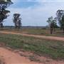 Baradine to Coonabarabran road