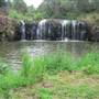 Cascade Falls Farm
