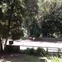Private Horse Farm - Otford