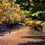 Armidale Area