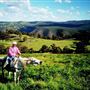 Armidale Area