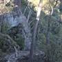 Bushrangers Cave