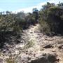 Boars Head Lookout