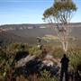 Hargraves Lookout - Shipley Plateau
