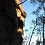Mitchells Ridge Lookout - Mount Victoria