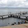 Lake Illawarra South-Skiway Park