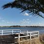 Lake Illawarra North-King St Foreshore & Bob Grabham Jetty