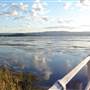 Lake Illawarra North-Purry Burry Avenue