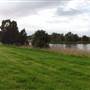 Lake Illawarra North-Budjong Creek Wetland