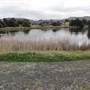 Lake Illawarra North-Budjong Creek Wetland