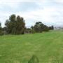 Lake Illawarra North-Budjong Creek Wetland