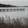Lake Illawarra North-Tuggerah Bay Jetty