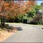 American style - houses & streets