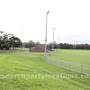 Janise Crosio Field