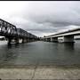 Tom Ugly's Bridge Marina