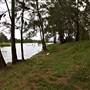 Yarramundi Reserve