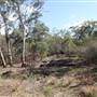 Georges River Nature Reserve