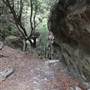 Mermaid's Cave