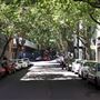 Surry Hills Streets