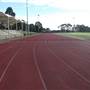 The Crest of Bankstown Sport Facilities
