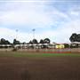 The Crest of Bankstown Sport Facilities