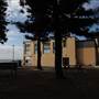 Collaroy Surf Life Saving Club