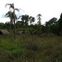 Brownlow Hill - File 2