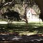 Nielsen Park