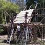 Private Properties - Bamboo, Jungle, Exotic, Forest
