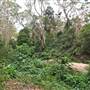 Bradley Reserve