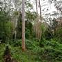 Bradley Reserve