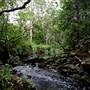 Bradley Reserve
