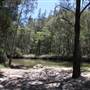 Bushland Creek