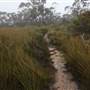 Mt Banks