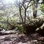 Warraroon Reserve