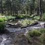 Coxs River - Glenroy Cabins and Camp Ground