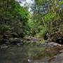 Flatrock Gully
