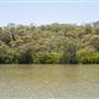 Georges River