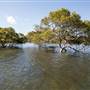 Hacking River