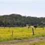 Scenic NSW Equine Centre