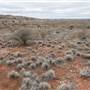 Broken Hill Sculptures Site and Living Desert