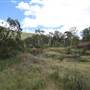 Clarence River Wilderness Lodge