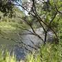 Clarence River Wilderness Lodge